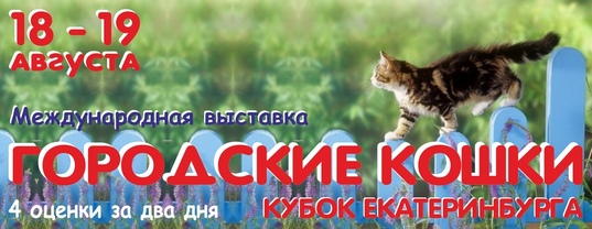Международная выставка "Городские кошки. Кубок Екатеринбурга"